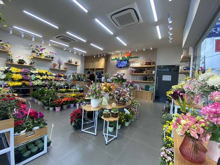 Shop hoa Dalat Hasfarm là địa chỉ tin cậy để đặt mua hoa khai trương